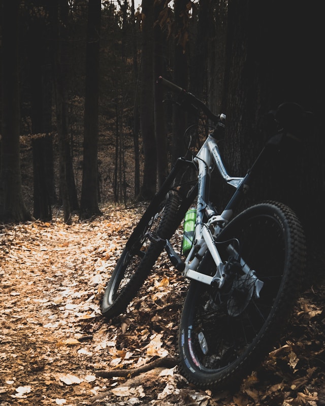 mountain bike leaning against a tree on a wooded trail in autumn